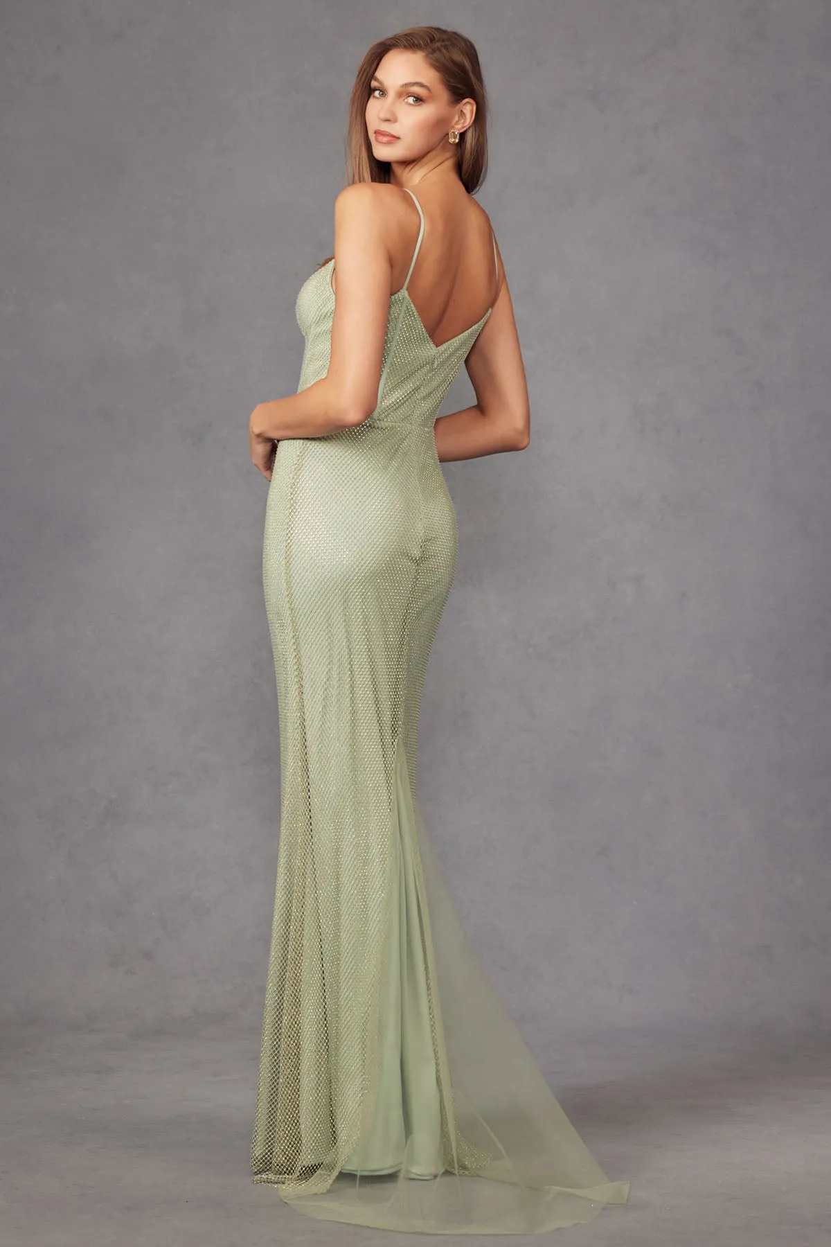 Beaded Sleeveless Net Mesh Mermaid Dress by Juliet JT2470S