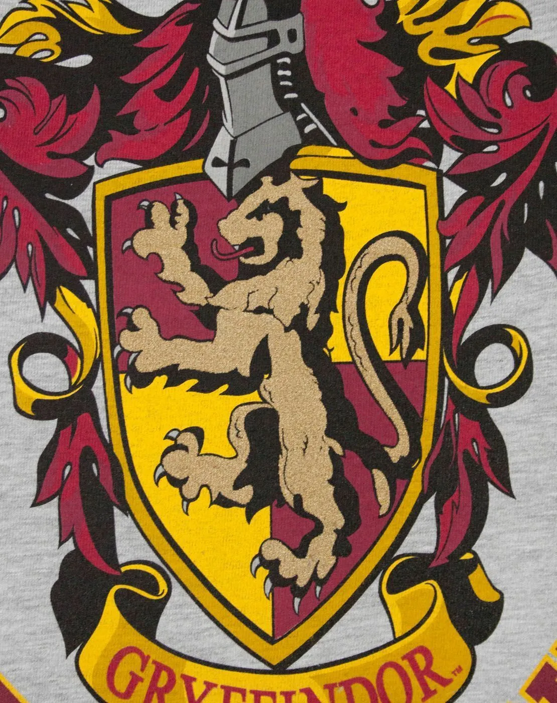 Harry Potter Quidditch Team Captain Girl's T-Shirt